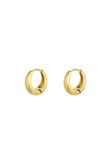 Oorbellen small hoops
