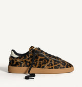 Alley Leopard
