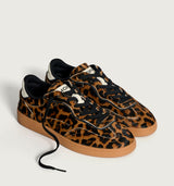 Alley Leopard