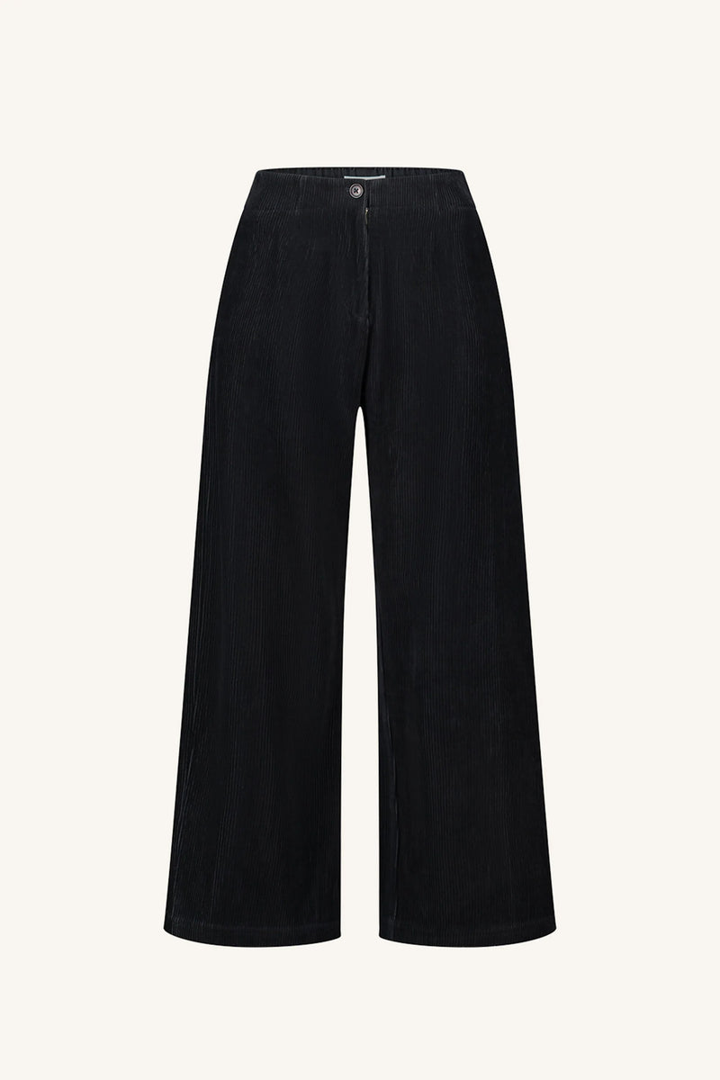 Odin Cord Pant - Midnight